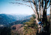 浅間峠から三国山のページへのリンク（４０台からの山岳サイクリング[MTBサイクリング]）